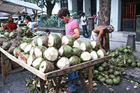 リオのマーケット、ココヤシを売る
