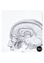 人頭解剖図（Human head anatomy）