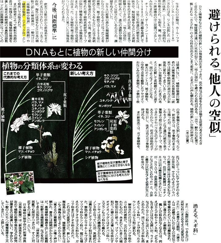 2010年3月2日 朝日新聞