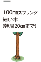 100mmスプリング…細い木（幹周20cmまで）