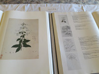 『SIEBOLD'S FLORILEGIUM OF JAPANESE PLANTS 1994』光則寺贈