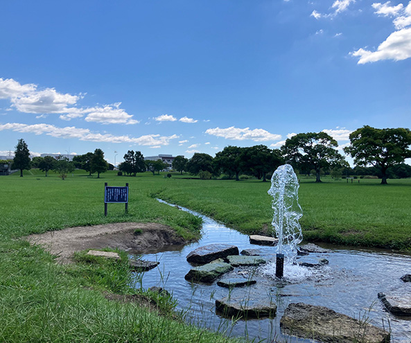 水前寺江津湖公園